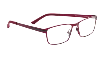 Prodesing 2025 Active