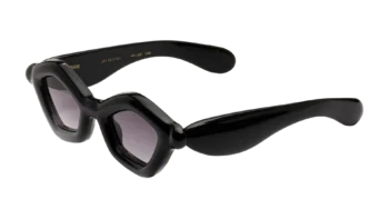 Paloceras 2025. Pebble Shadow Black DX.